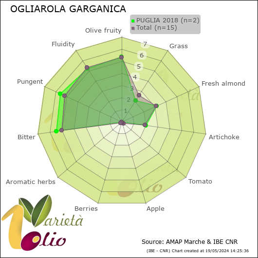 Profilo sensoriale medio della cultivar  PUGLIA 2018